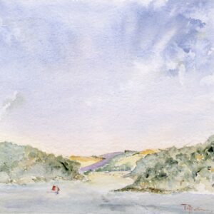 Helford from Mawnan Glebe