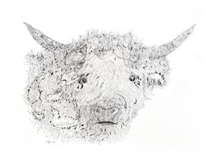 Highland horns