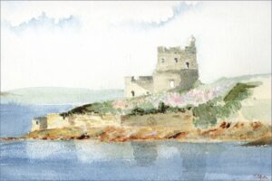 Hydrangeas at St Mawes