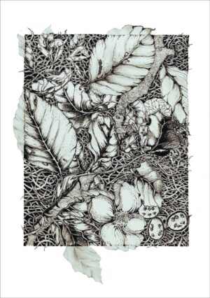 Fallen leaves