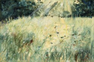 The Meadow